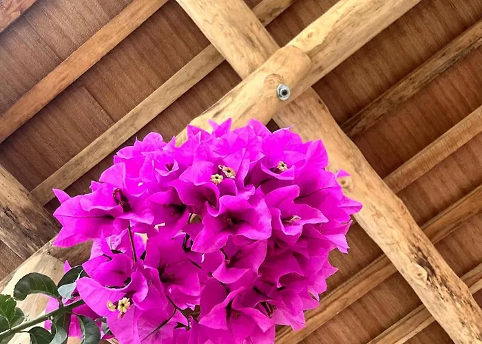 Casa Ramona Costa Rica